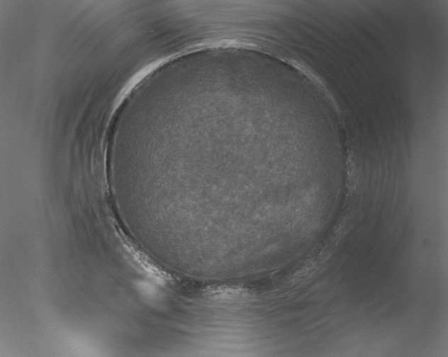 X0000078030886200611031535