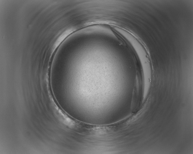 X0000078030906200611031534