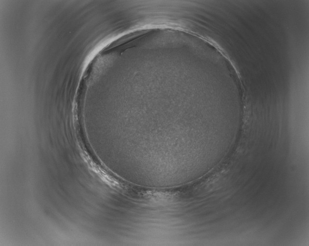 X0000078030928200611031534