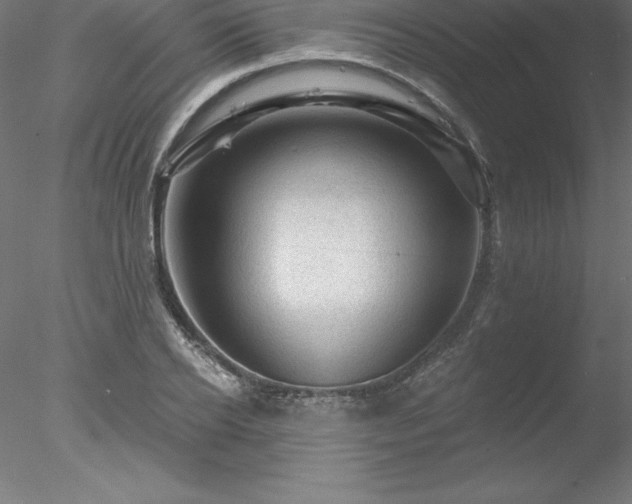 X0000078030934200611031534
