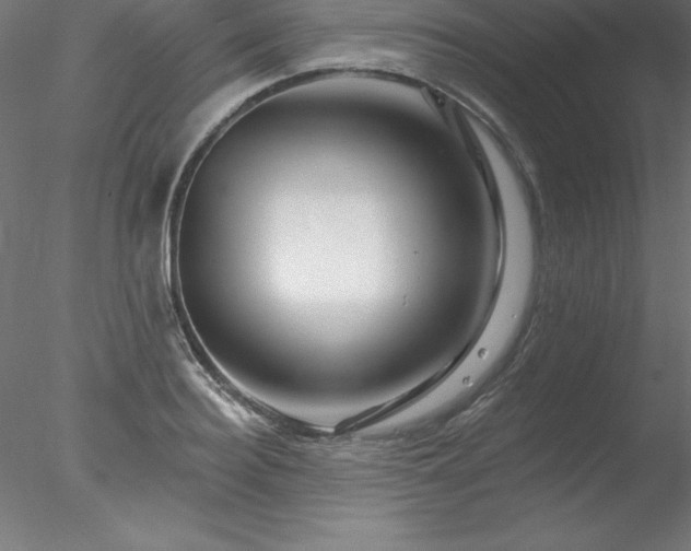X0000078030940200611031534