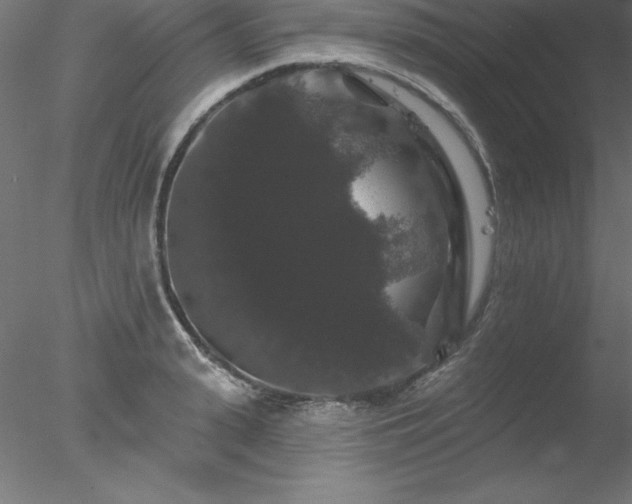 X0000078030943200611031534