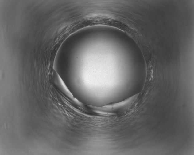 X0000078030965200611031533