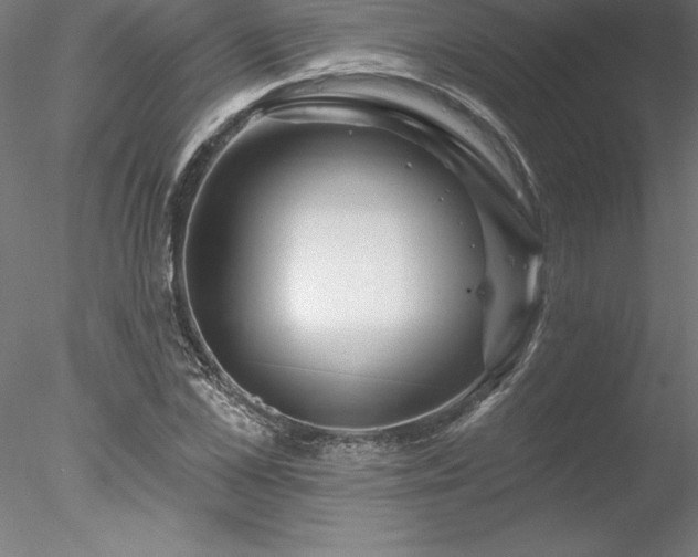 X0000078030973200611031533