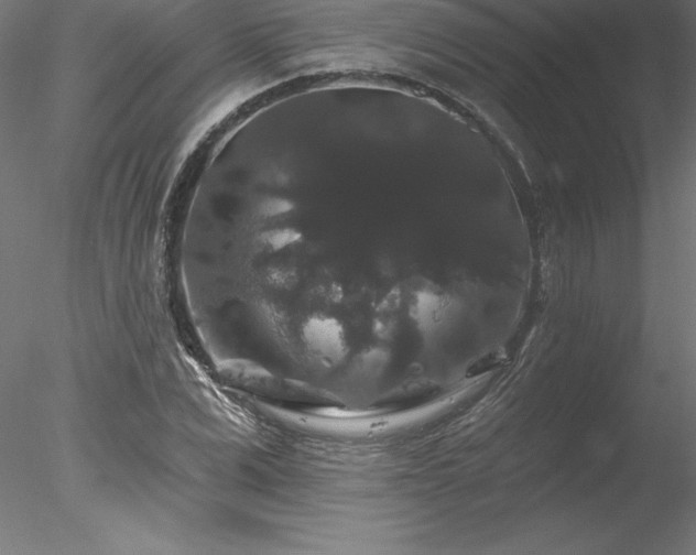 X0000078030975200611031533