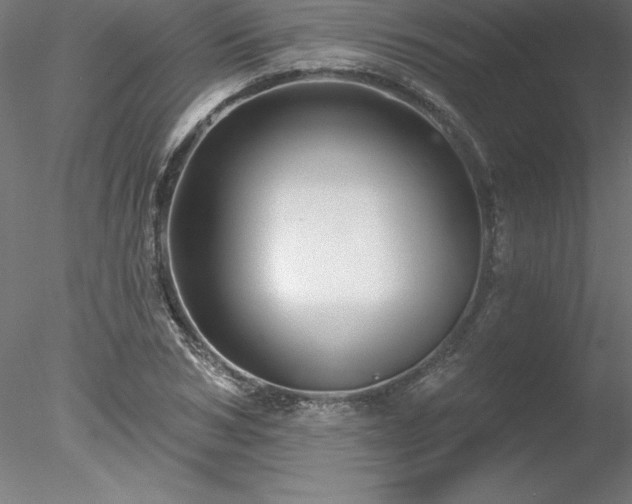 X0000078030978200611031533