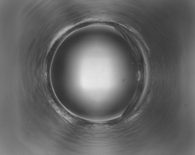 X0000078030981200611031533