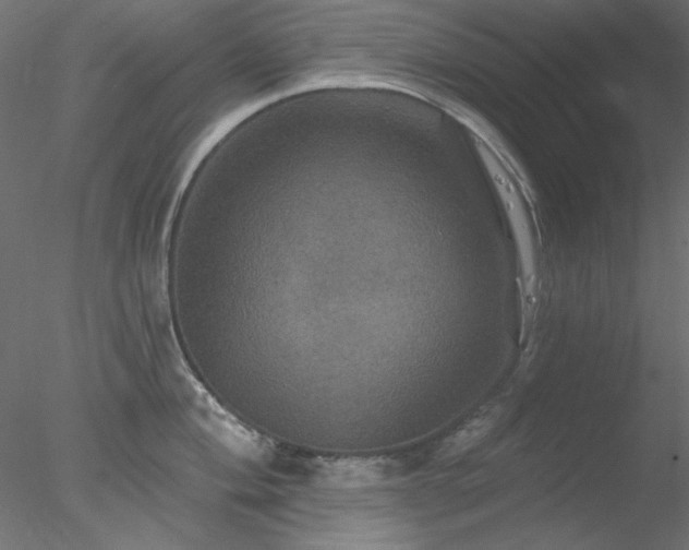 X0000078031004200611031533
