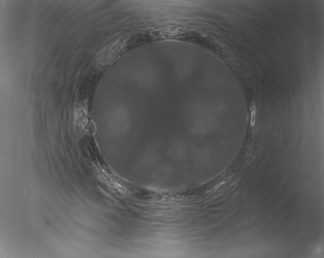 X0000078031011200611031532