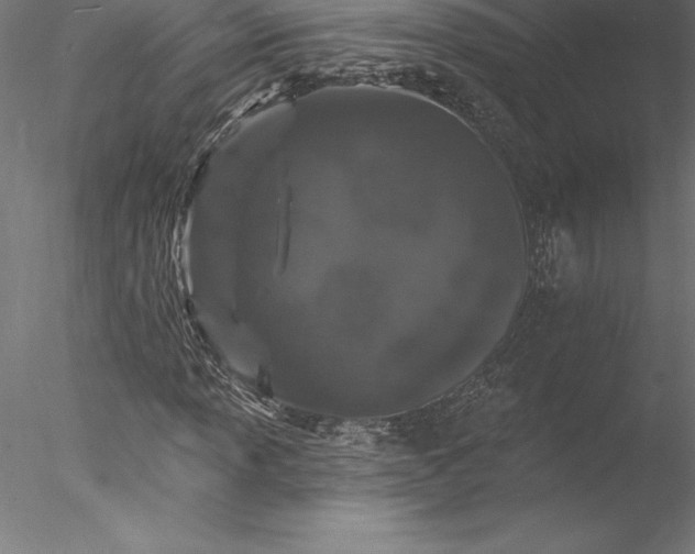 X0000078031013200611031532