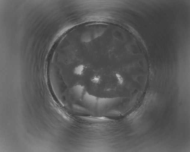 X0000078031035200611031532