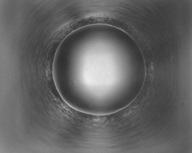 X0000078031062200611031532