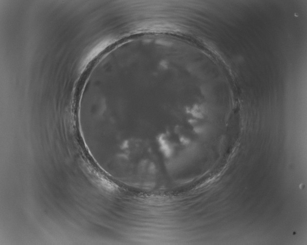 X0000078031071200611031532