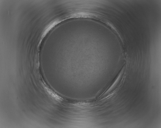 X0000078031075200611031532