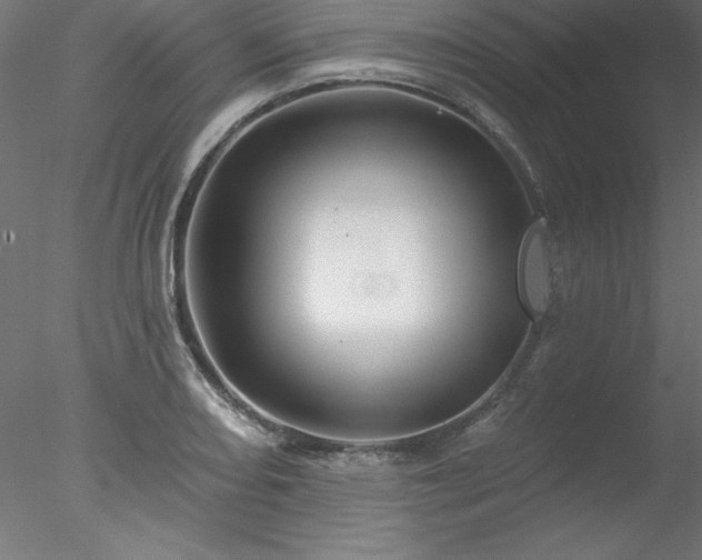 X0000078031082200611031531