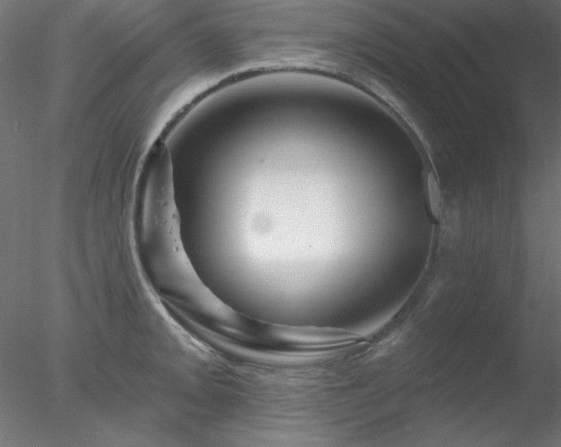 X0000078031093200611031531