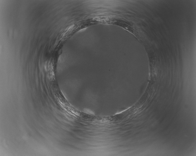 X0000078031106200611031530