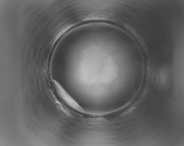 X0000078031129200611031531