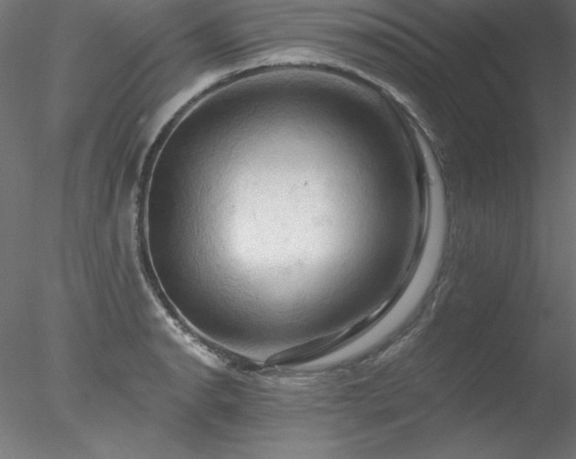 X0000078031134200611031531