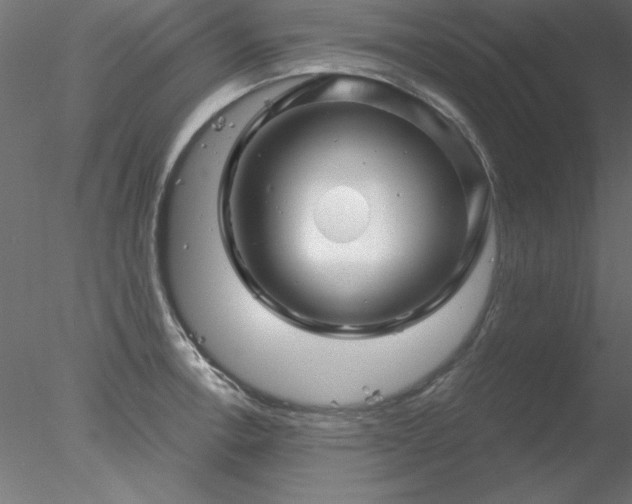 X0000078031138200611031531