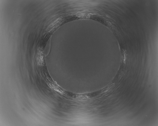 X0000078031154200611031530