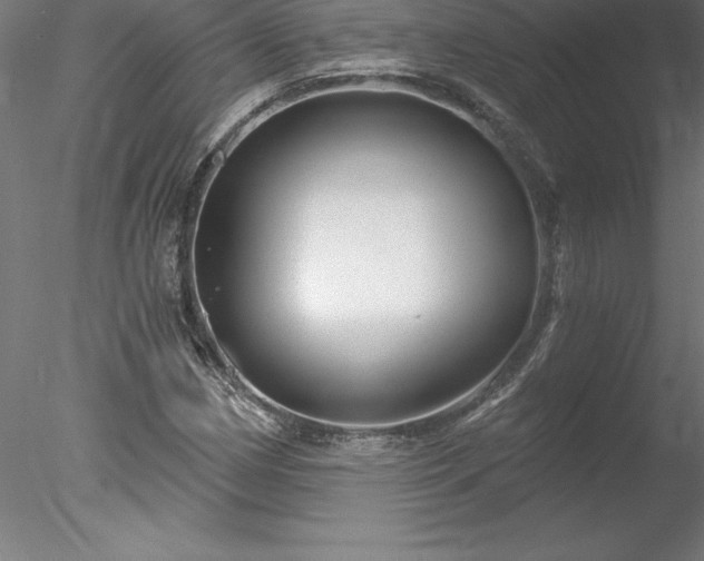 X0000078031162200611031530