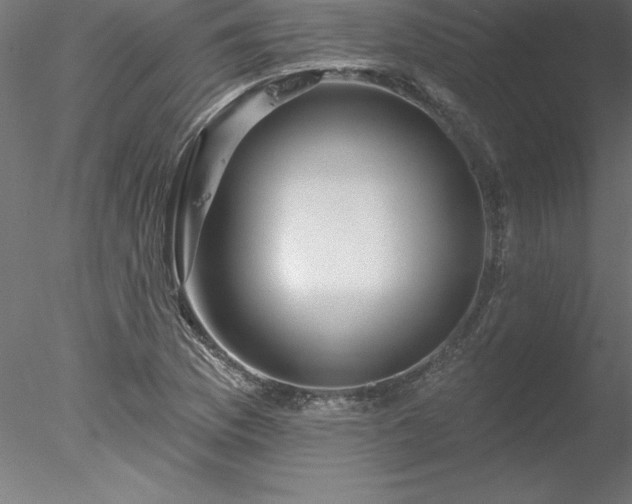 X0000078031169200611031530