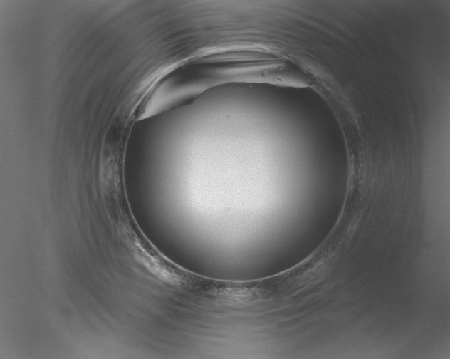 X0000078031177200611031530