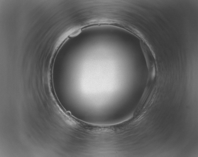 X0000078031187200611031530