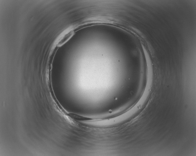X0000078031188200611031530