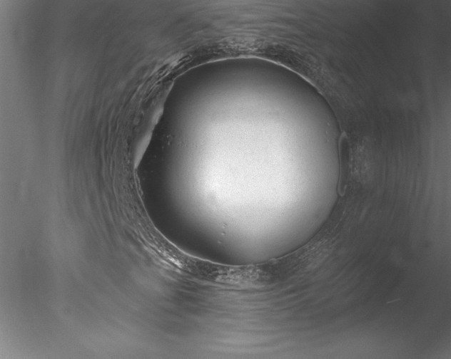 X0000078031201200611031529