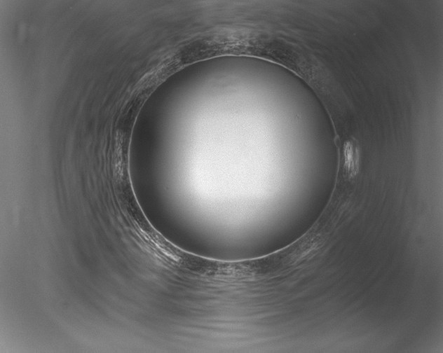 X0000078031203200611031529