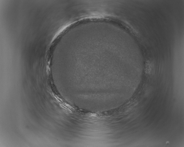 X0000078031208200611031529
