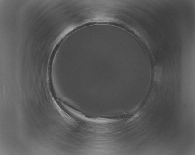 X0000078031229200611031529