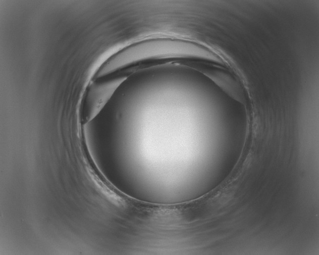 X0000078031238200611031529