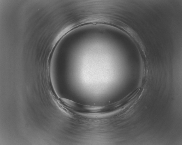 X0000078031242200611031529
