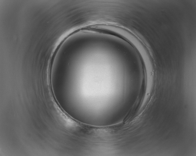 X0000078031246200611031529