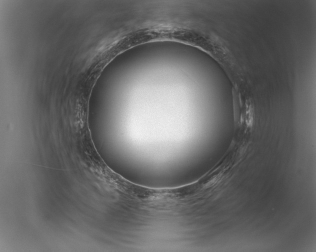 X0000078031253200611031529