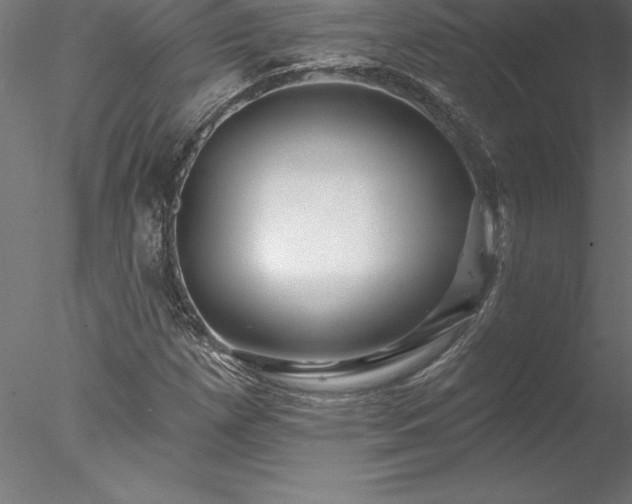 X0000078031257200611031528