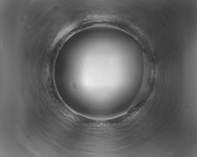 X0000078031261200611031528