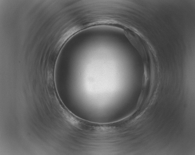X0000078031281200611031528