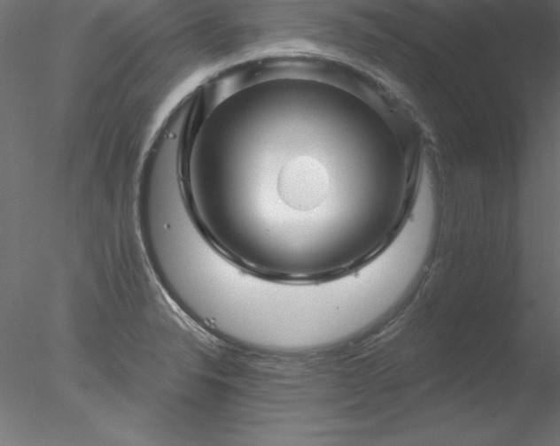 X0000078031326200611031527