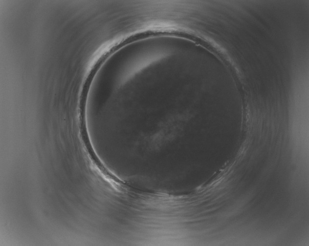 X0000078031327200611031528