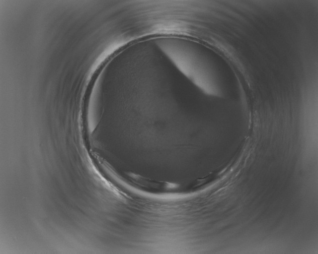 X0000078031331200611031528