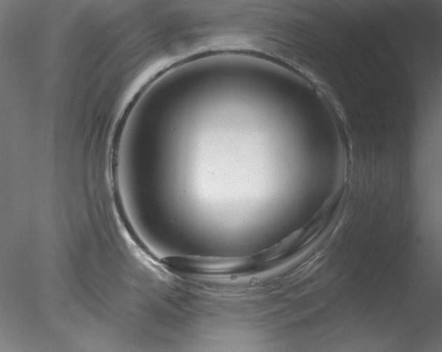 X0000078031342200611031528