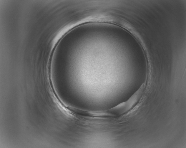 X0000078031344200611031528