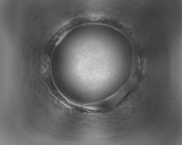 X0000078031349200611031527