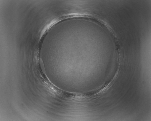 X0000078031357200611031527