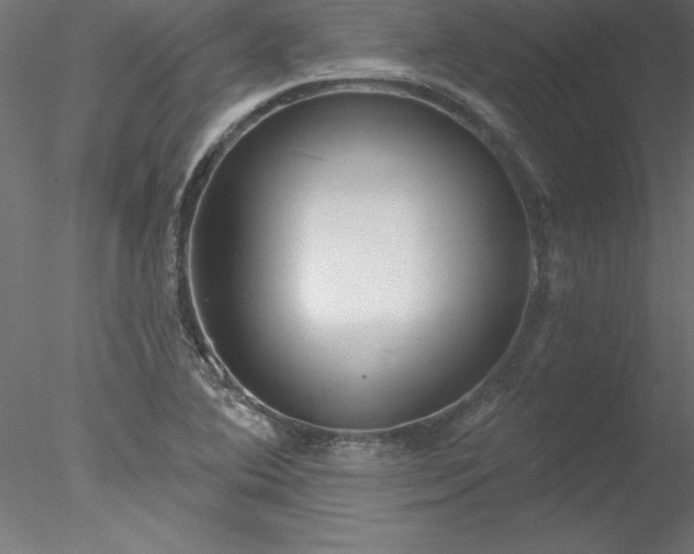 X0000078031364200611031527