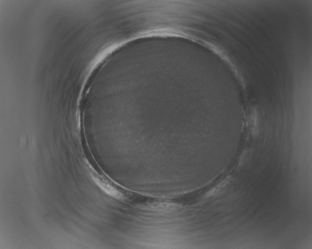 X0000078031372200611031527